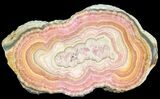 Rhodochrosite Stalactite Slice - Argentina #63148-1